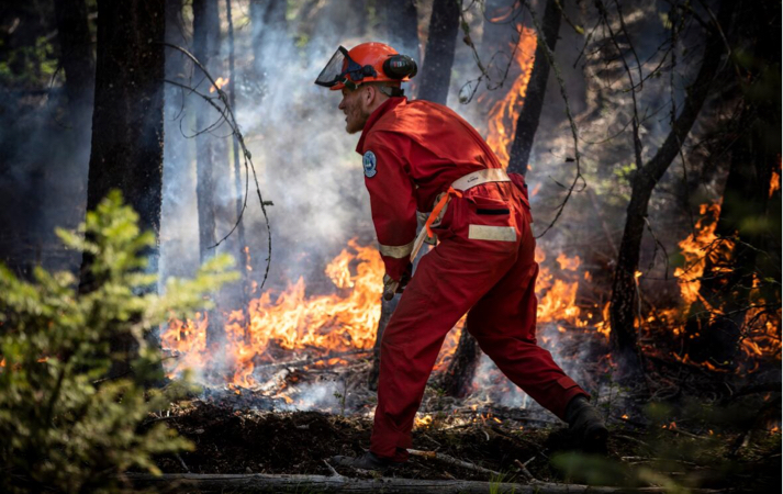 Kalesnikoff mass timber company wildfire mitigation blog post