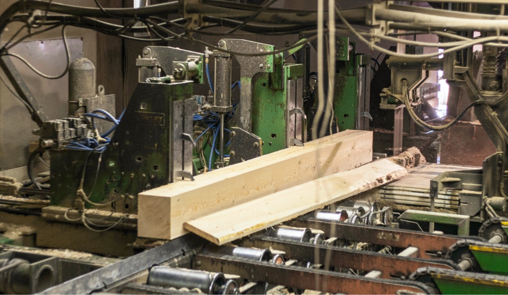 softwood lumber in timber sawmill getting cut into a structural wood beam