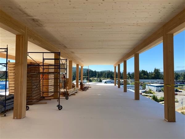 Mass timber office