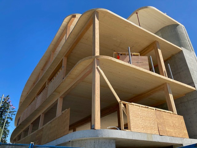 Mass timber office