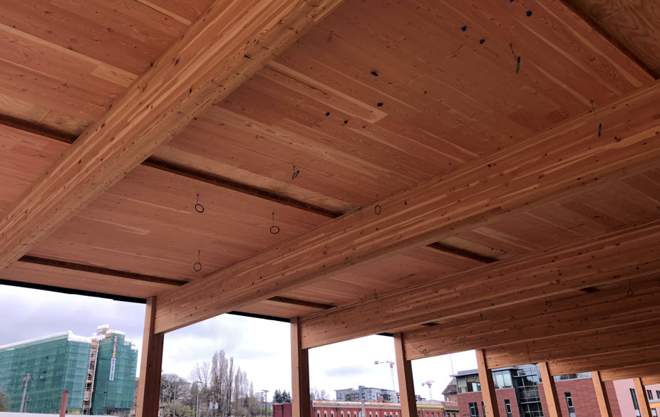 Photo showing mass timber build under construction