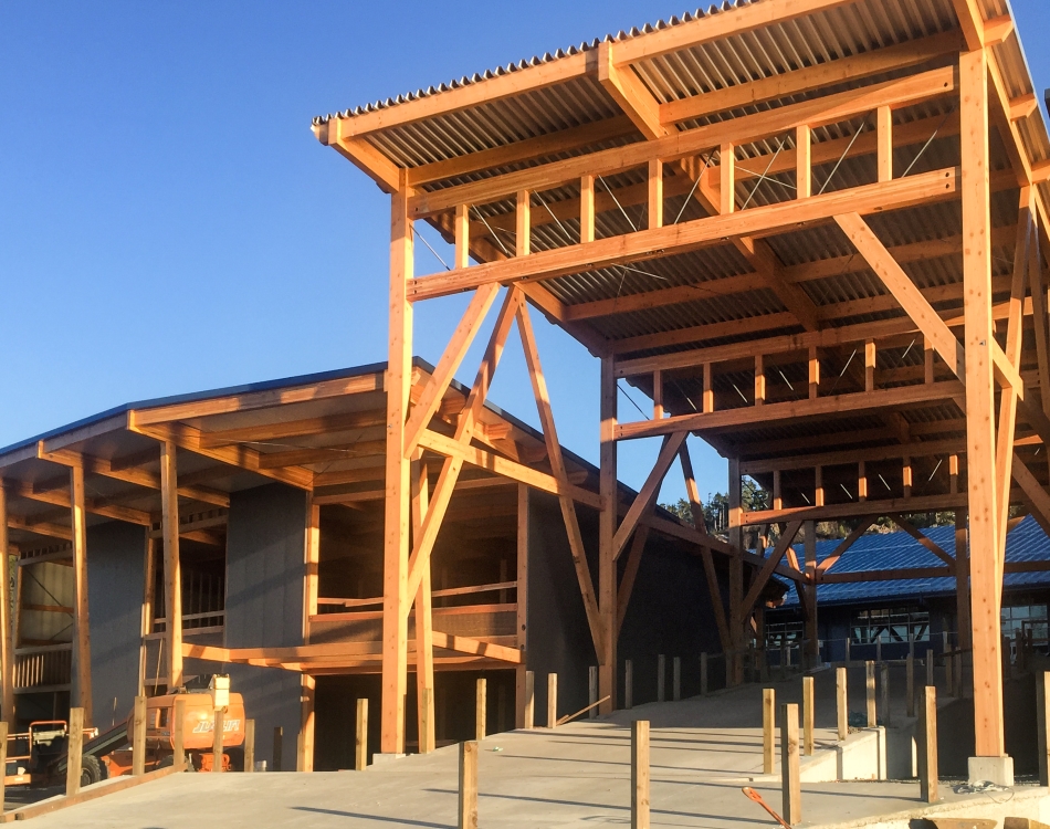 This new cruise terminal is a hybrid timber frame structure made with Glulam beams and Douglas fir timber.