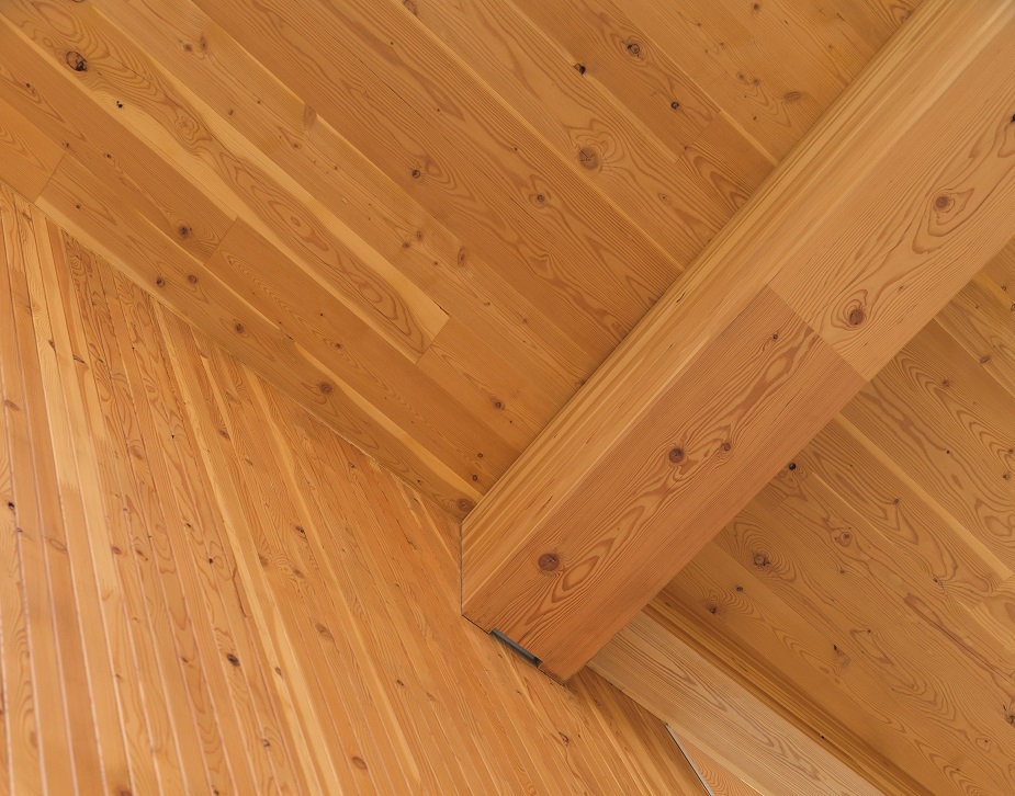 mass-timber-close-up-shot