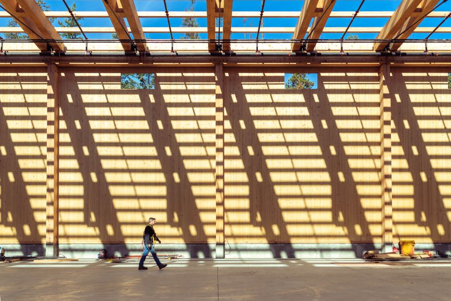 Interior shot of mass timber building with cross laminated timber panels and glulam trusses