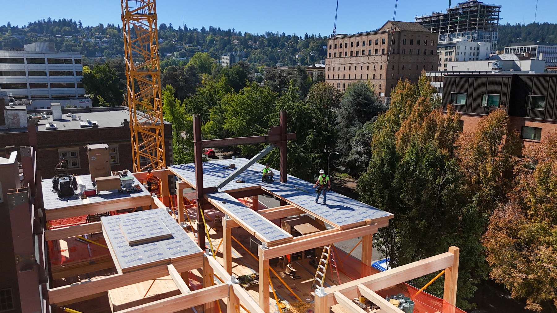 Julia West House - affordable housing - Kalesnikoff Mass Timber